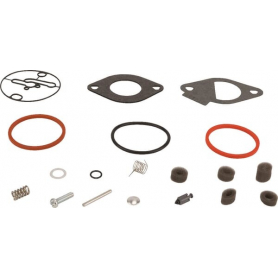 Kit de réparation carburateur BRIGGS ET STRATTON 796184