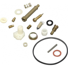 Kit de réparation carburateur BRIGGS ET STRATTON 494839