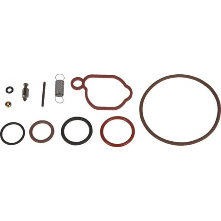 Kit de réparation carburateur BRIGGS ET STRATTON 590589