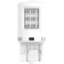 Ampoule LED PHILIPS GL11066XURX2