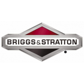 Vis BRIGGS ET STRATTON 820948