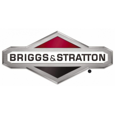 Vis BRIGGS ET STRATTON 820948