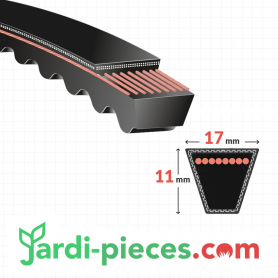 Courroie FORGES DE MARGERIDES F610