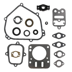 Kit BRIGGS ET STRATTON 698216