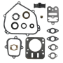 Kit BRIGGS ET STRATTON 698216