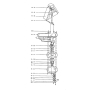 Membrane IPSA WE1015N