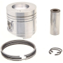 Piston RAICO 00860060AN