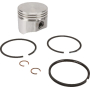 Piston BRIGGS ET STRATTON 499960