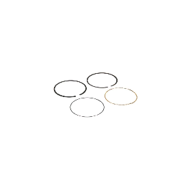 Kit de segments BRIGGS ET STRATTON 792649