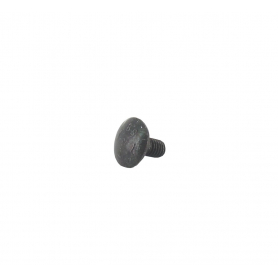 Vis bombée avec tête carrée M6 x 12mm GGP - CASTELGARDEN 112815205/0