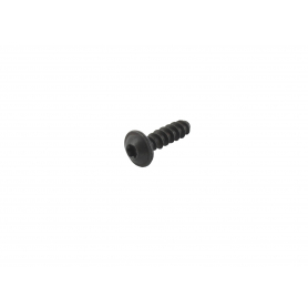 Vis parker tête creuse Torx 20mm GGP - CASTELGARDEN 112728680/0